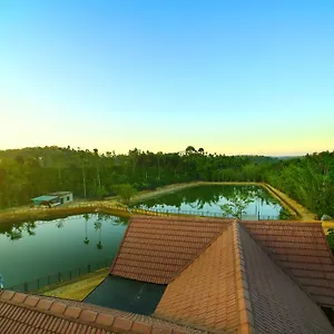  Resort Brown Bean India